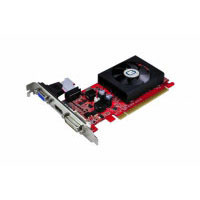 Gainward GeForce 210 1024MB DDR3 (426018336-1459)